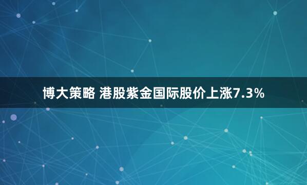 博大策略 港股紫金国际股价上涨7.3%